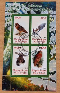 Kongo raz. arší, sovy a netopýři, r. 2011