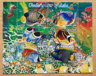 Malawi raz. aršík, vodní fauna Asie, r. 2011
