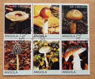 Angola raz. 6blok, houby, r. 2000