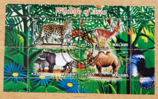 Malawi raz. aršík, fauna Asie, r. 2011