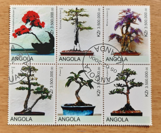 Angola raz. 6blok, bonsaje, r. 2000