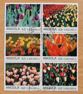 Angola raz. 6blok, tulipány, r. 2000