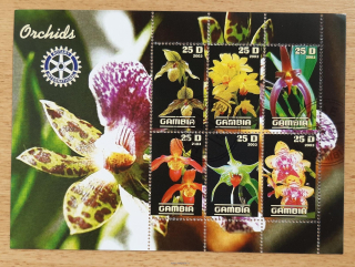 Gambie raz. aršík, orchideje, r. 2003