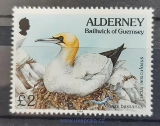 Alderney ** 82 výplatní, flóra a fauna, pták, 2libra